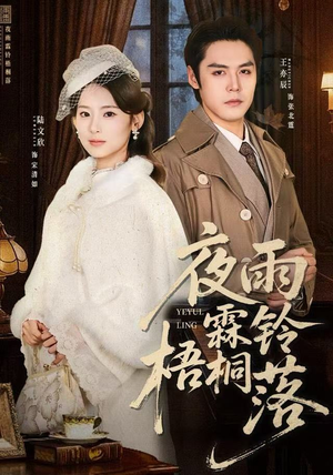 夜雨霖铃梧桐落(51集) 夜雨霖铃梧桐落(51集)女主角是谁