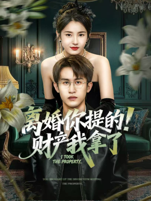离婚你提的！财产我拿了（63集）好看上头的短剧