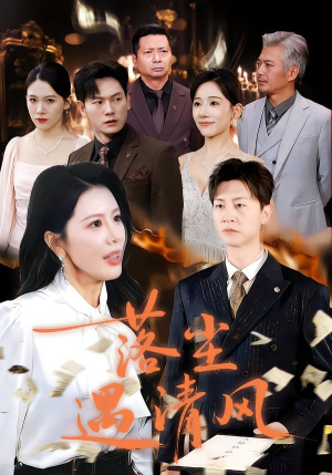 离婚而已（74集）全集