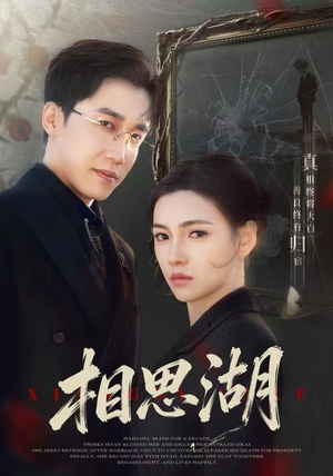 相思湖（66集）最火短剧热播