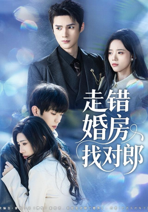 走错婚房找对郎（50集）口碑之选免费看
