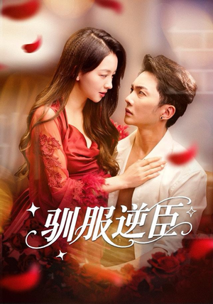 驯服逆臣（80集）一起追短剧吧