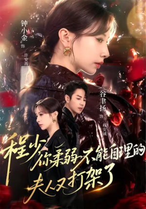 程少你柔弱不能自理的夫人又打架了（60集）爱上了这部剧了