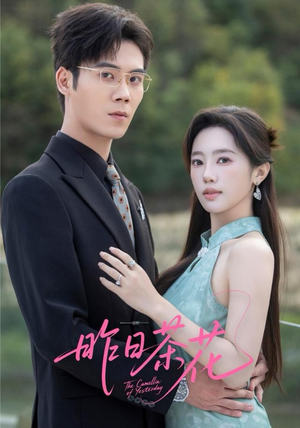 昨日茶花（56集）热播古装短剧