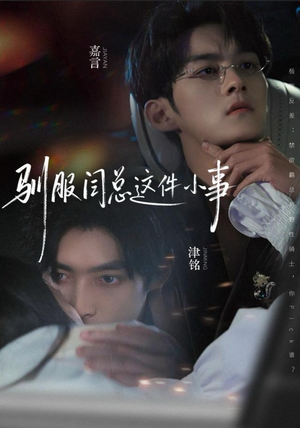 驯服闫总这件小事（58集）口碑之选免费看