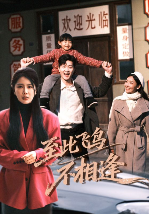 至此飞鸟不相逢(70集) 至此飞鸟不相逢(70集)免费观看就是爽