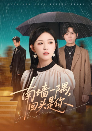 南墙一隅，回头是你（61集）最近很火的短剧