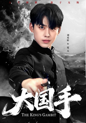 大国手（76集）热门短剧榜单