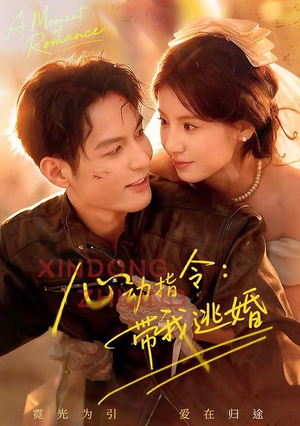 心动指令：带我逃婚（61集）观看软件