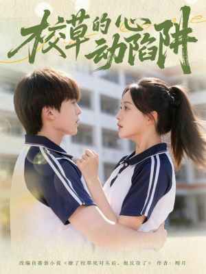 校草的心动陷阱（60集）火爆短剧推荐