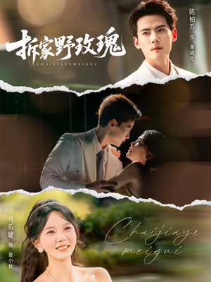 拆家野玫瑰（80集）最热短剧推荐