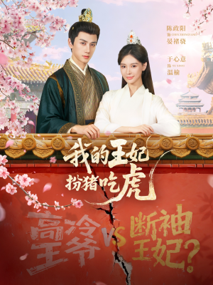 我的王妃扮猪吃虎（79集）火爆短剧来袭