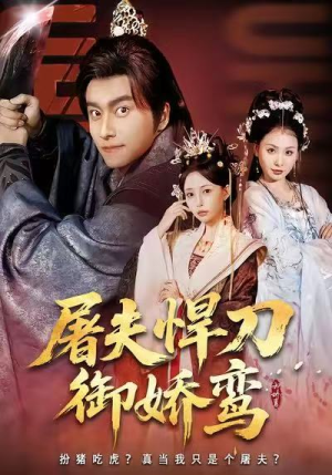 屠夫悍刀御娇鸾（81集）好看的短剧电影