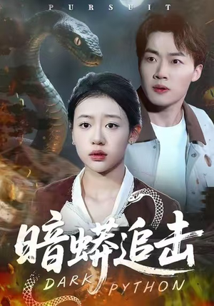 暗蟒追击(35集) 暗蟒追击(35集)在线观看