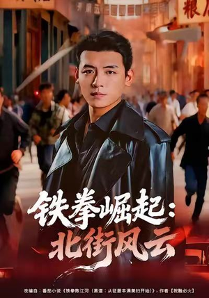 铁拳崛起：北街风云（80集）网盘在线观看
