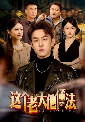 这个老大他懂法（100集）在线观看完整版