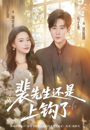 裴先生还是上钩了（62集）在哪个平台能看