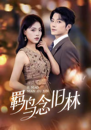 羁鸟念旧林（60集）剧好看短剧推荐