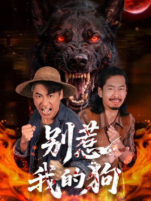 别惹我的狗（40集）好看短剧又来了