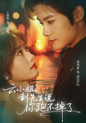云小姐，封先生说你跑不掉了（89集）爆火短剧追不停