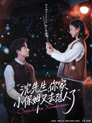 沈先生，你家小保姆又去怼人了（82集）每日短剧分享