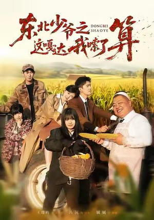 东北少爷之这嘎达我嗦了算（46集）热门短剧推广