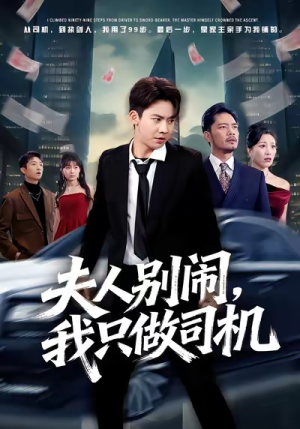 夫人别闹我只做司机（80集）全集一次看完