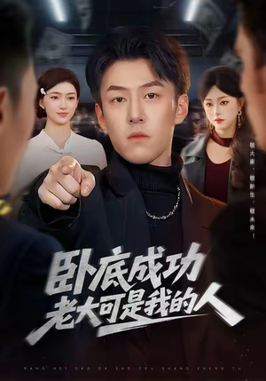 卧底成功老大可是我的人(99集) 卧底成功老大可是我的人(99集)短剧热门分享