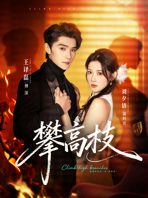 攀高枝（70集）短剧热门推荐