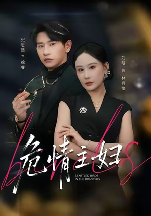 危情主妇（60集）全剧看到大结局