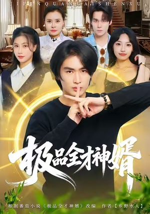 极品全才神婿（67集）80到100集