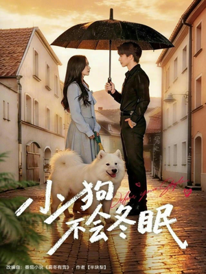 小狗不会冬眠（70集）古装短剧推荐