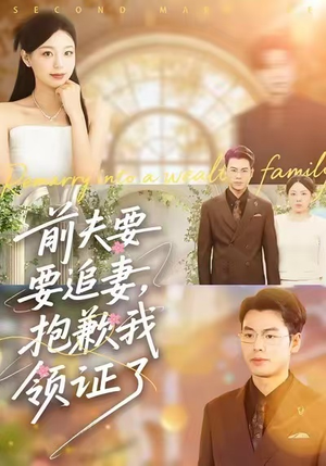 前夫要追妻，抱歉我领证了（81集）精彩短剧片段