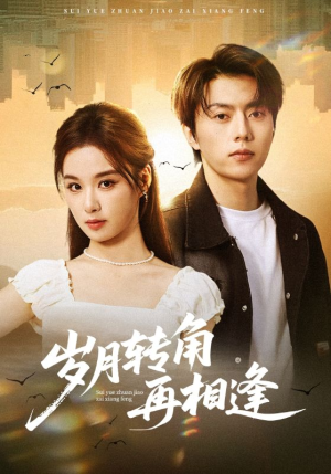 岁月转角再相逢(80集) 岁月转角再相逢(80集)热门短剧排行榜