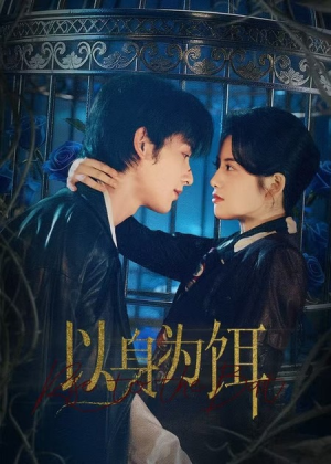 以身为饵（61集）深深爱上这部剧