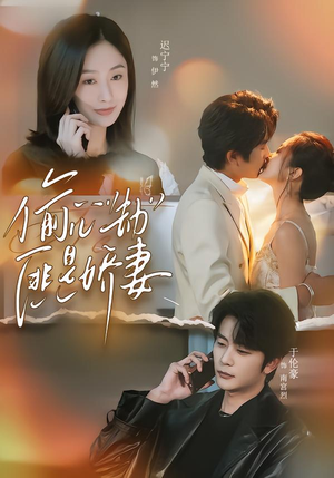 偷心劫匪是娇妻（61集）短剧在哪里看