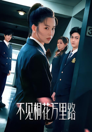 不见桐花万里路（71集）男频短剧推荐