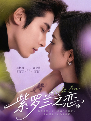 紫罗兰之恋(82集) 紫罗兰之恋(82集)完整版免费观看