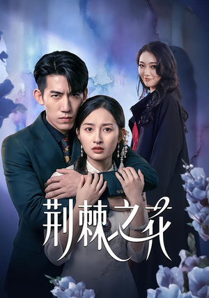 荆棘之花(100集) 荆棘之花(100集)在线免费观影