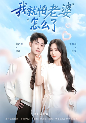 我就怕老婆怎么了（88集）最新热播短剧