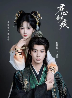 君心似疾（80集）全集完整版