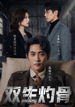 双生灼骨（60集）短剧完整版免费