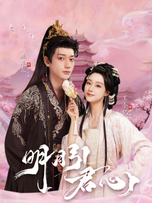 明月引君心(74集) 明月引君心(74集)爆火短剧追不停