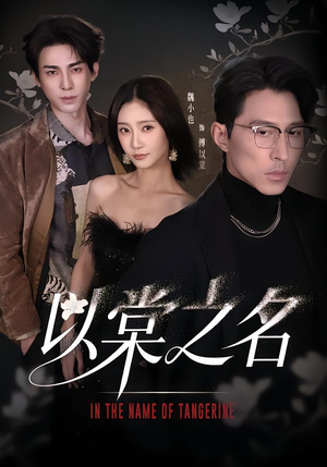 以棠之名（66集）热播短剧重燃