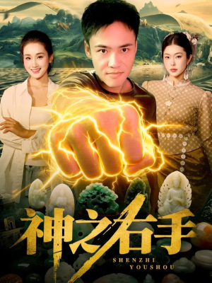 神之右手（100集）去哪里看