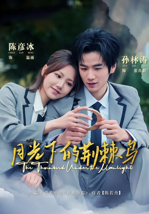 月光下的荆棘鸟（80集）经典回顾免费看