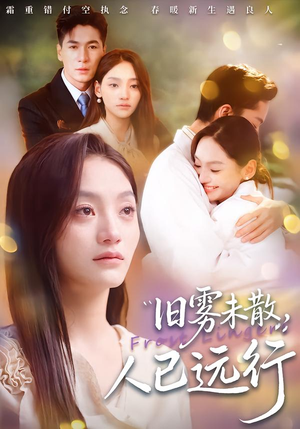 旧雾未散，人已远行（76集）在线看完整版