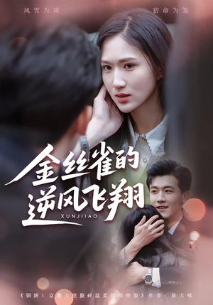 金丝雀的逆风飞翔(80集) 金丝雀的逆风飞翔(80集)最新短剧推荐