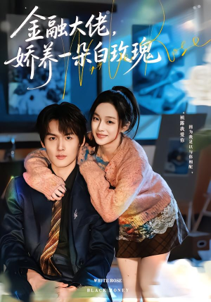 金融大佬，娇养一朵白玫瑰（70集）短剧免费分享