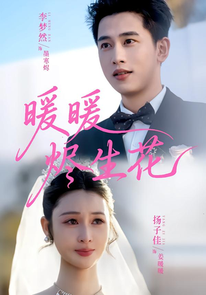 暖暖烬生花（65集）全集完整版